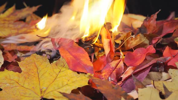  Garbage burning releases toxic gases into the air, impacts health