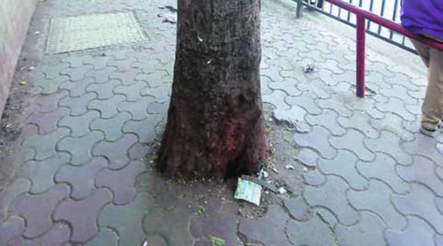 concretising tree bases