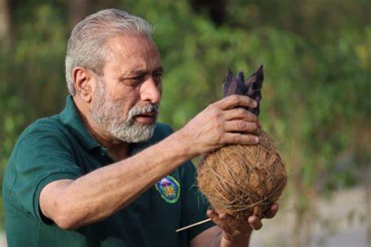  Bringing birds back to your backyards is his mission