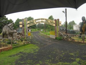 Jabalpur Ghoghua Fossil Park