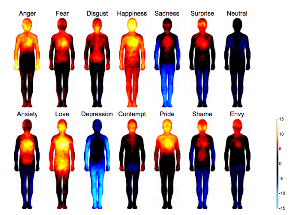  How emotions affect your body