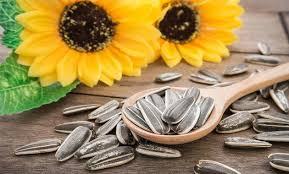  TOP 5 Amazing benefits of sunflower seeds