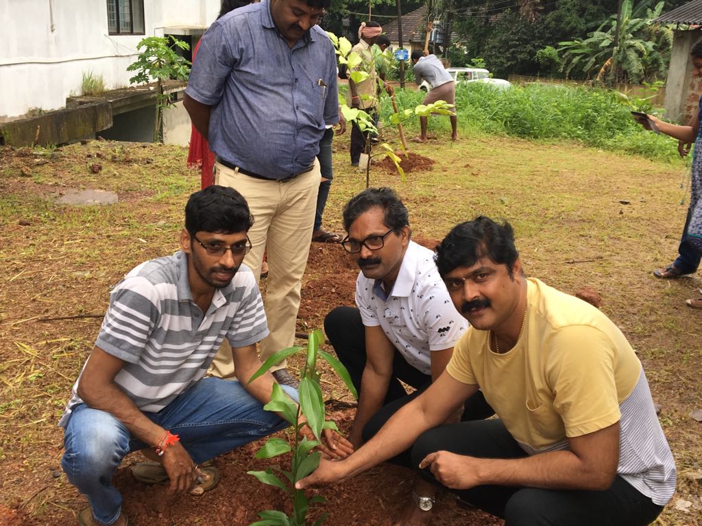  Saplings as temple prasadam to spread green message