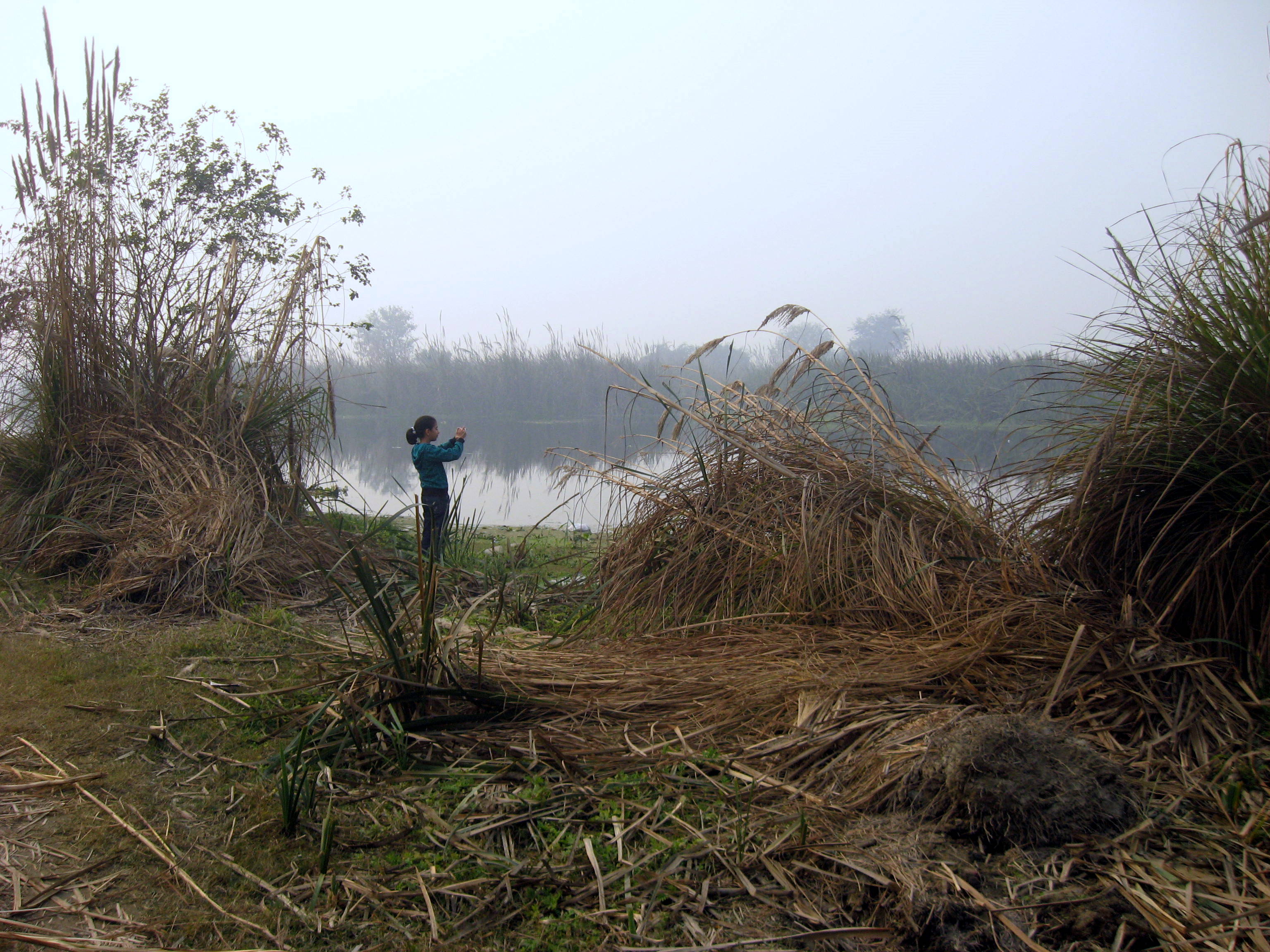  Govt notifies new rules for wetlands’ conservation