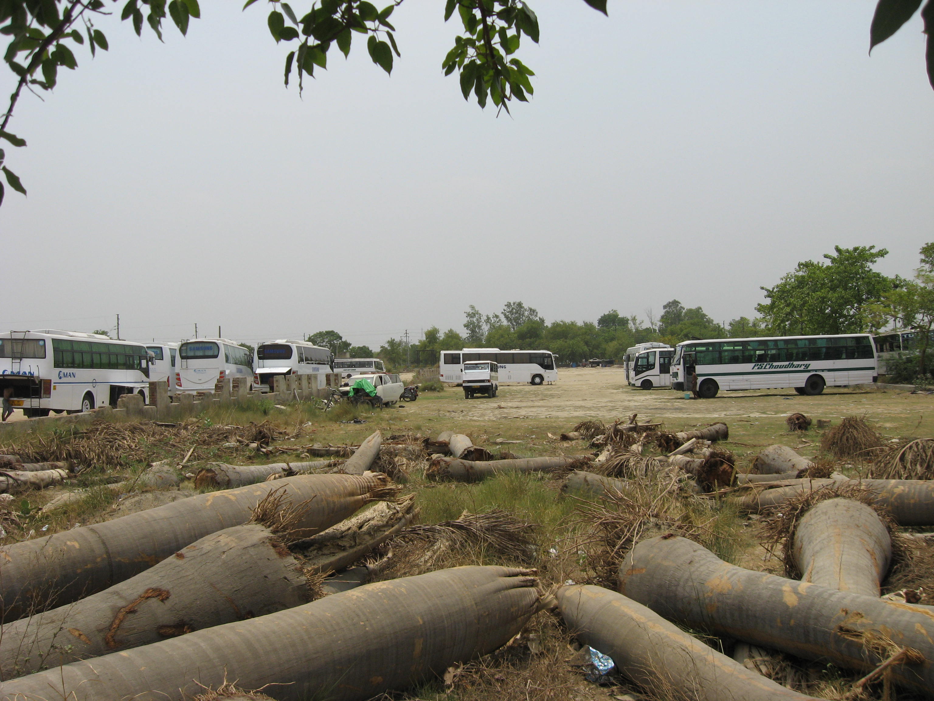  Please stop sacrificing trees for development