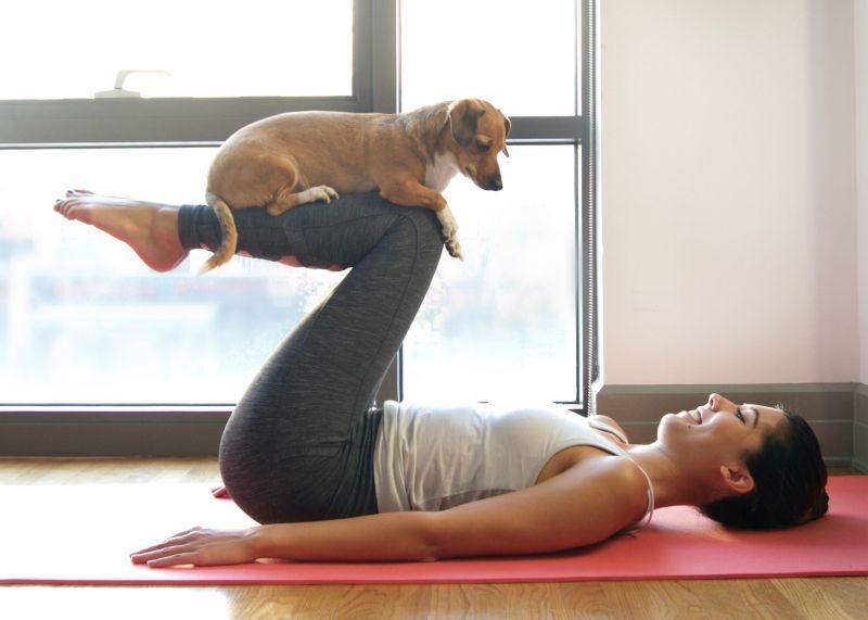  Now, your pooch can do yoga too