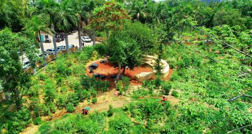  Urban forest in the heart of New Delhi!