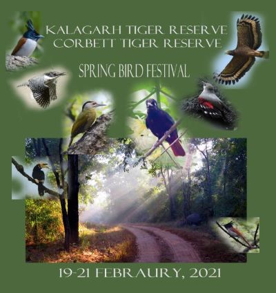  Spring Bird Festival at Kalagarh Tiger Reserve