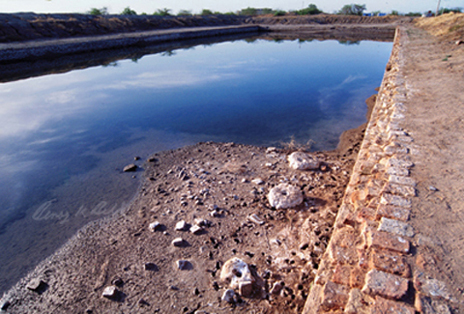  A cooperative culture blossomed during the Indus Valley Civilisation