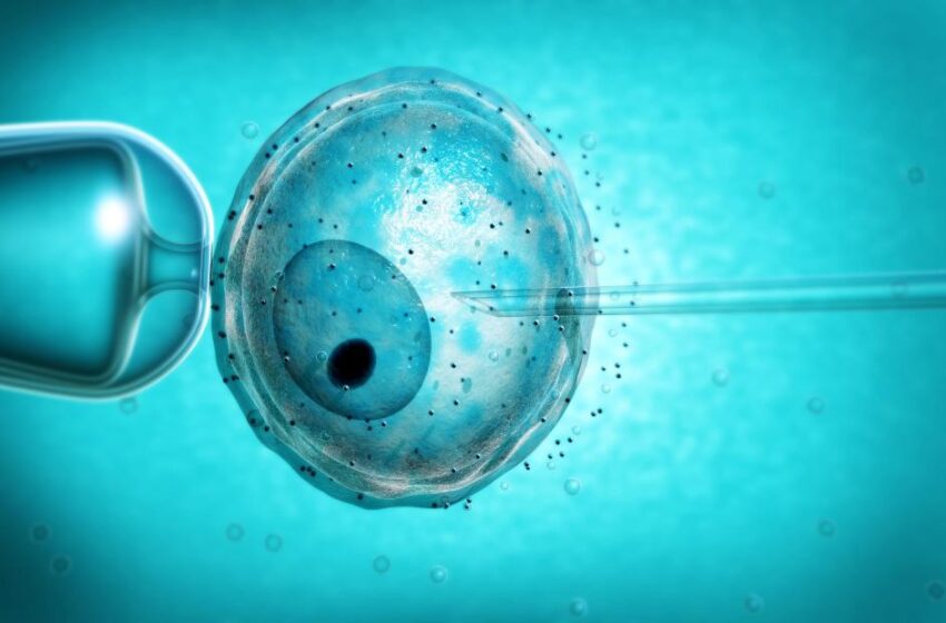  Acceptance, awareness increasing in IVF space