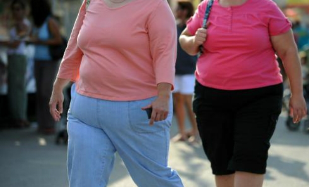  Obesity is gateway to several risky diseases, warn healthcare experts