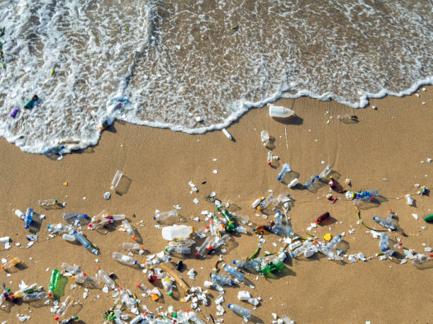  Innovative solutions that can help curb plastic pollution