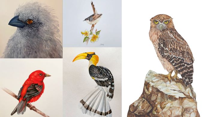  Exhibition to celebrate avian species, draw attention towards their declining numbers