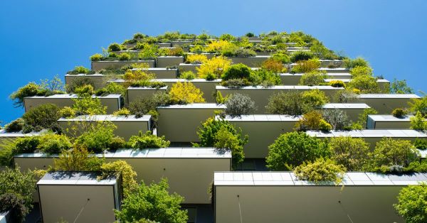  WORLD ENVIRONMENT DAY Green housing must for sustainable living