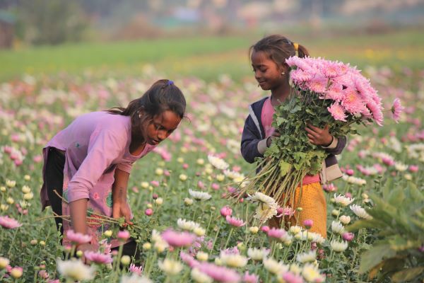  Exploring the life of marginalised children through candid clicks