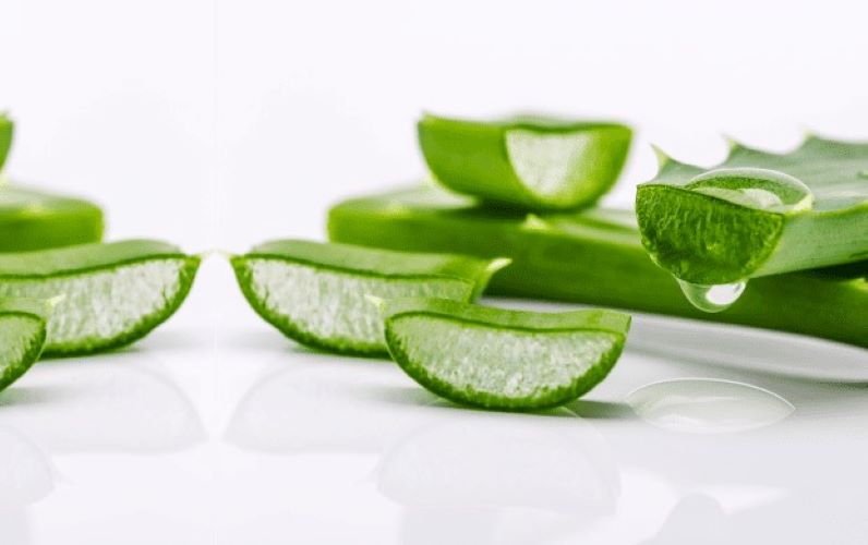  Why should you include Aloe Vera in your daily regimen