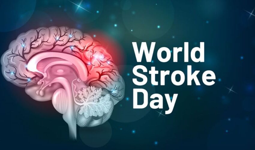  WORLD STROKE DAY Ways to prevent the risk of stroke