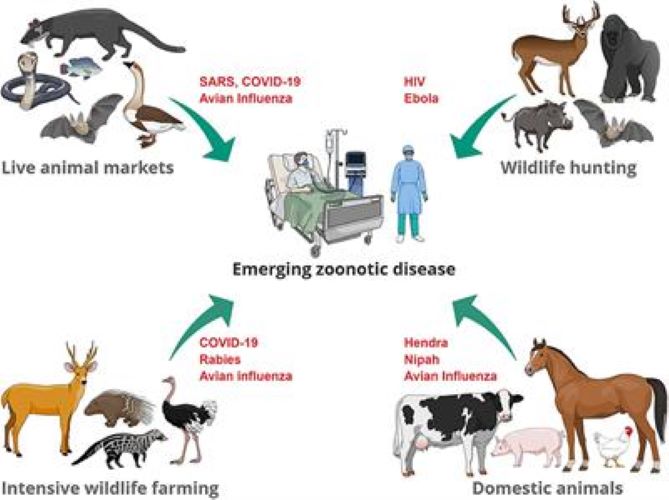  National Institute of One Health to focus on existing and new zoonotic agents