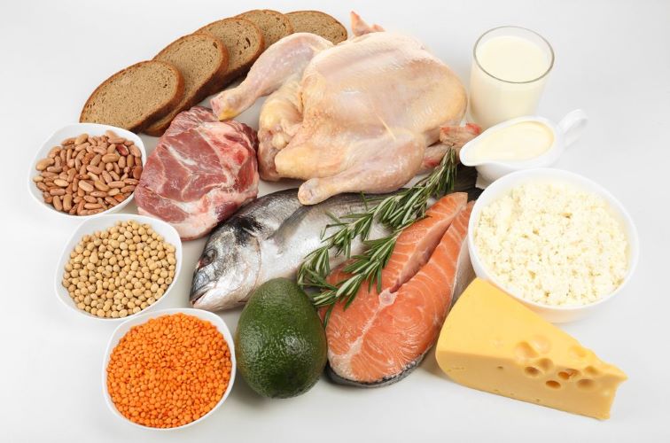  Know how important is protein for your body