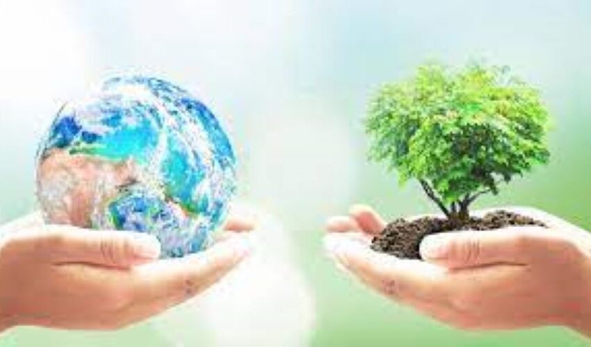  WORLD EARTH DAY Adopt a sustainable approach to elevate your interiors