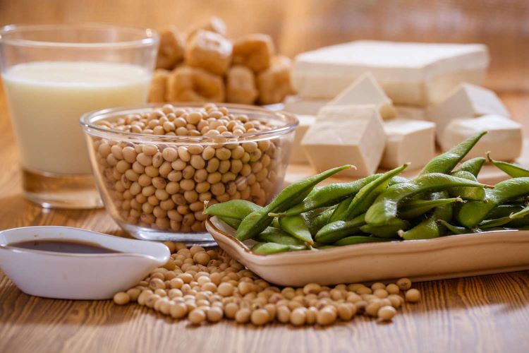  7 advantages of starting a soy-based business