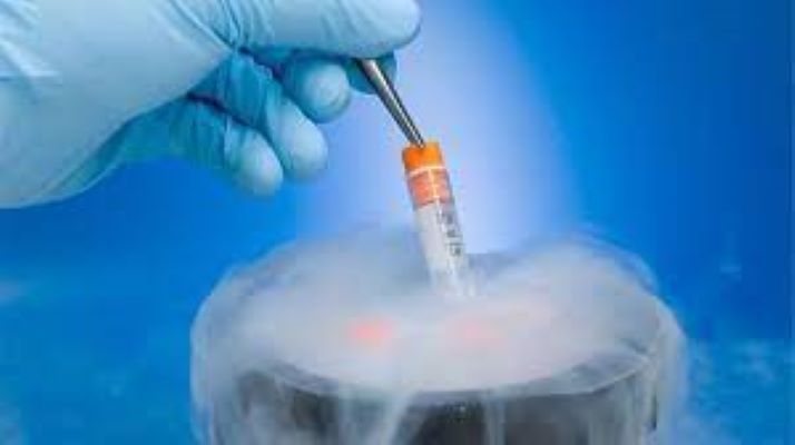  The Frozen Future: Exploring the World of Cryopreservation