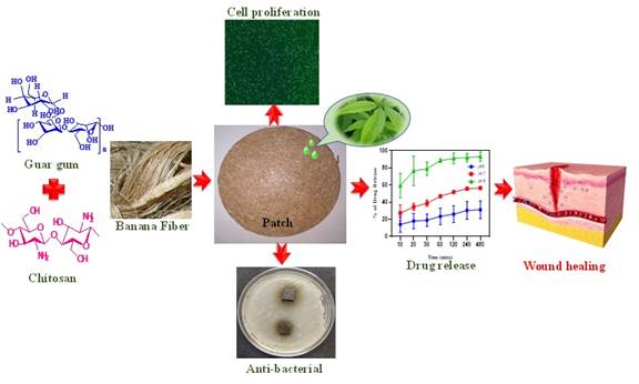  Indian scientists develop eco-friendly wound dressing using banana fibres