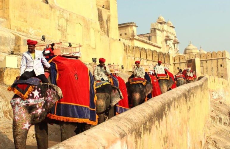  Retire elephants, find new ways of tourist travel to Amer Fort, Rajasthan Govt told