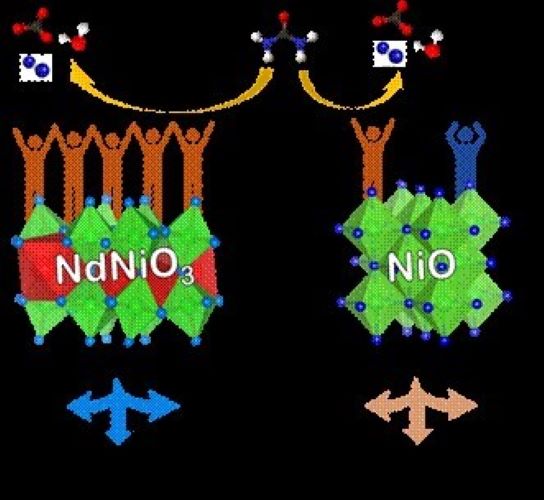  CeNS scientists develop new strategy for energy-efficient hydrogen production