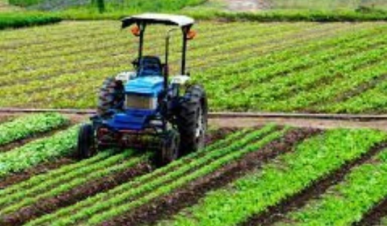  Sustainable agricultural practices: Balancing productivity and environmental impact