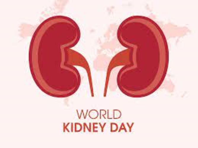  World Kidney Day: Kidney infection, symptoms and treatment