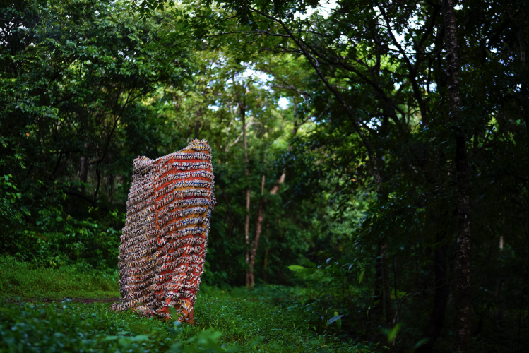  ‘Requiem’ draws attention to climate change & the slow demise of birds