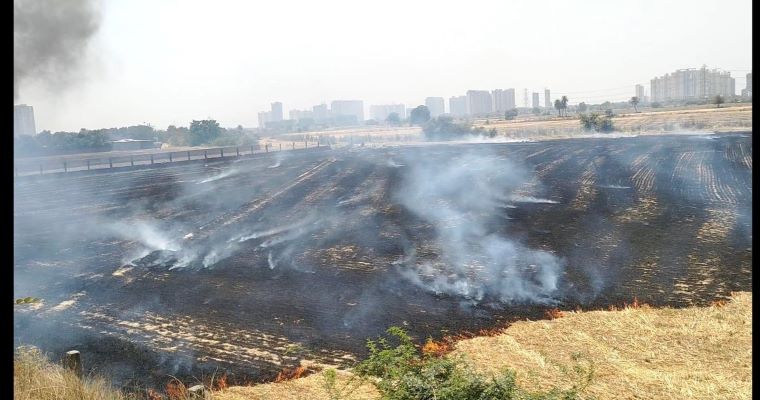  Crop residue burning assumes alarming proportions in Greater Noida