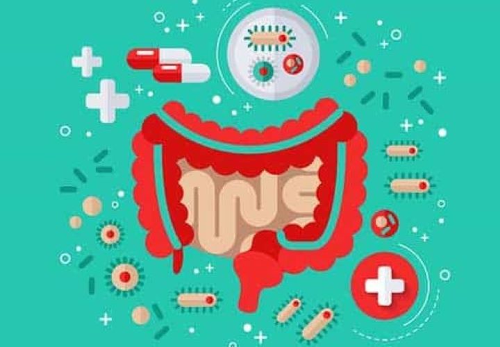 gut microbiome