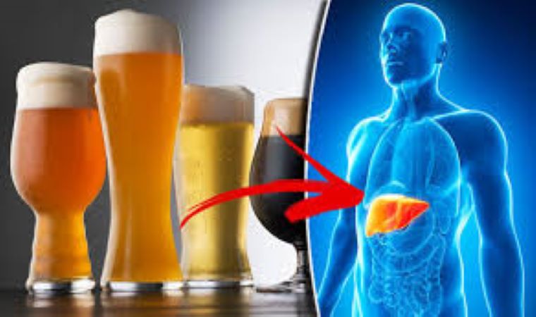  The sacred bond of drinking and liver health