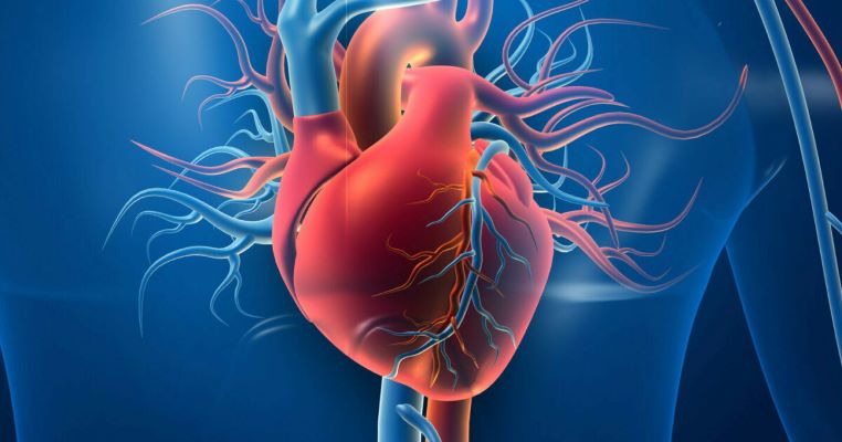  Study uncovers high prevalence of heart health risks in India