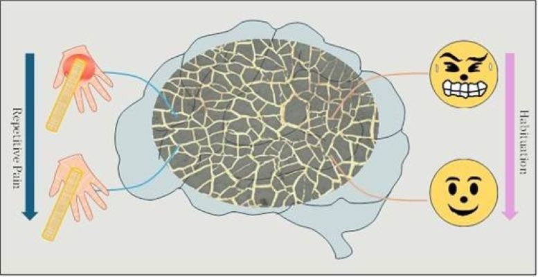  New system developed for wearable devices that can detect stress