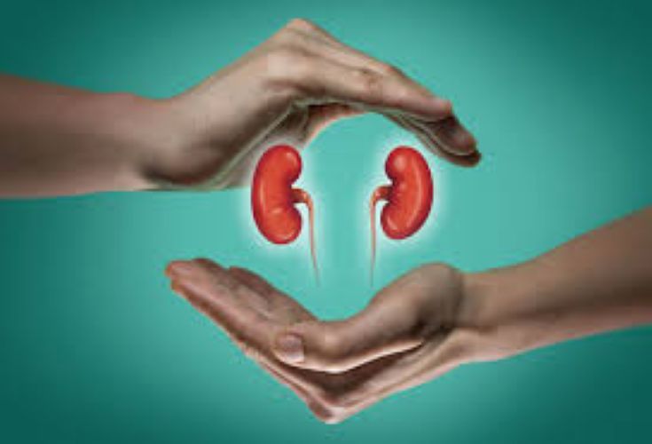  SIMPLE RULES FOR HEALTHY KIDNEYS