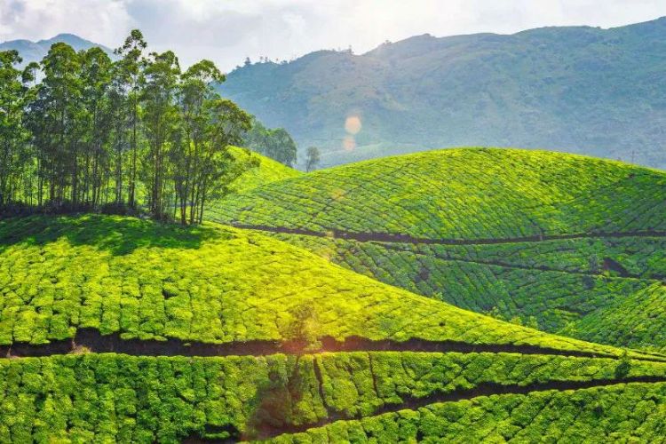  Destinations to escape scorching summer