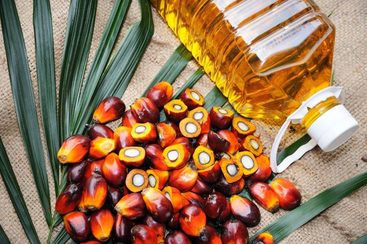  Can Palm Oil fit into a healthy diet?