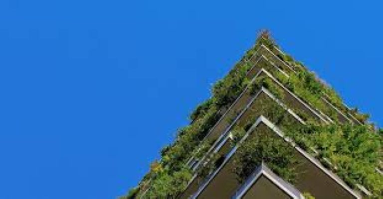  Real estate Vs environment: Who is winning in India?
