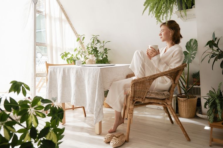  Beat the Heat: 10 Biophilic Styling Tricks Designers Swear By for a Cooler Home