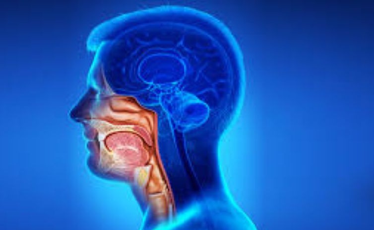  Lifestyle changes can prevent head & neck cancer