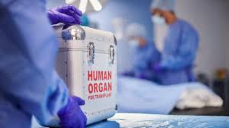  Can Covid survivors donate organs?