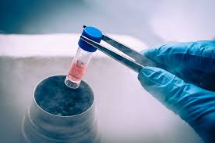  Why Indian millennials are turning to egg freezing for reproductive freedom