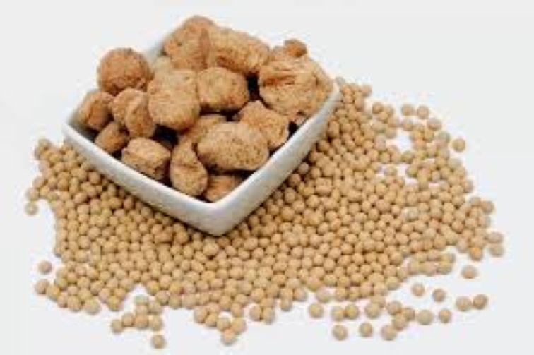  Doctors say soy offers safer, cheaper protein option