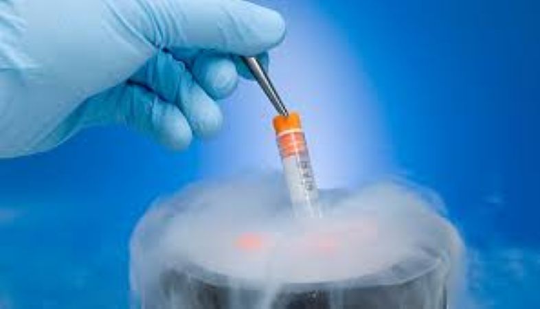  Embryo Freezing: A Motherhood Choice for Today’s Women