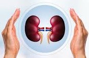  Tips to protect your kidney health