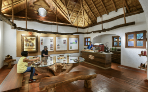 Evolve Back, Coorg Coffee Resorts