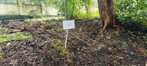Garden water composting